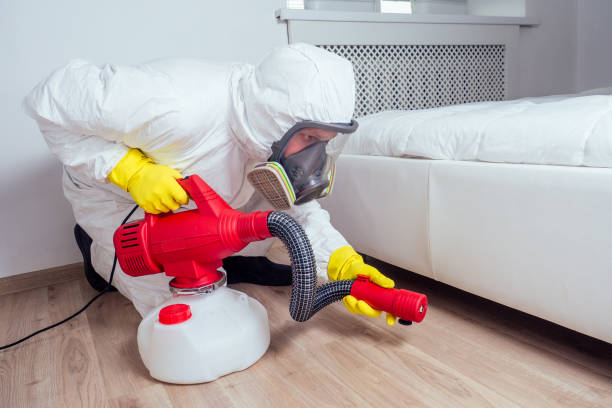 Best Wasp Removal Services  in Nescopeck, PA